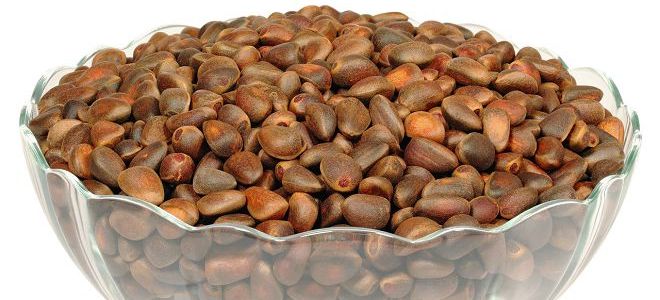 přínosy borovice ořechy pro ženy