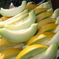 vitamini v melon