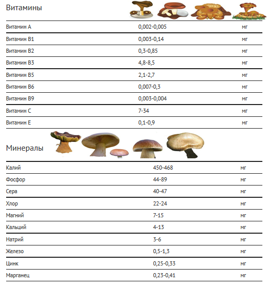 да ли има витамина у печуркама