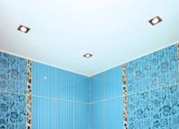 Как да изберем таван в банята2