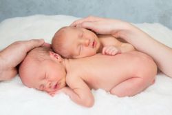 kaj določa rojstvo dvojčkov