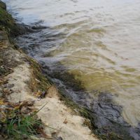 за какво мечтае мътната вода?