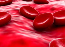 jaké produkty mohou zvýšit hemoglobin