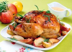 zašto je turska bolja od piletine