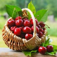 korzyści z wiśni i czereśni