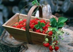 витамини в ягоди и ягоди