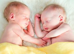 Kakšna je verjetnost rojstva dvojčkov?