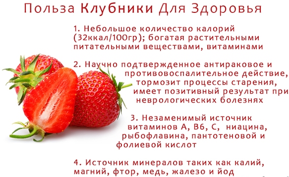 как е ягоди полезна за жените