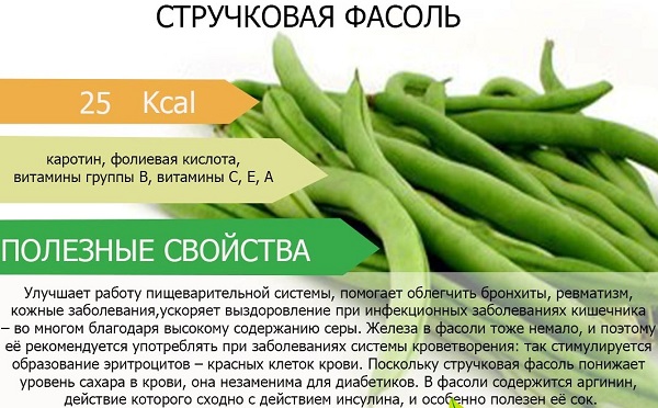 zelené fazole užitečné vlastnosti