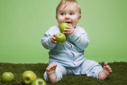 kakšno sadje lahko otrok v 8 mesecih