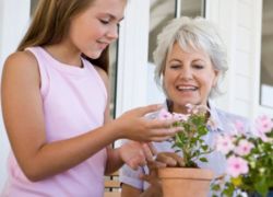 Što cvijeće dati svojoj baki