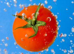 rajčata složení vitamínů