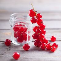 витамини в червено френско грозде за бременни жени