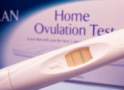 ovulacijski testni test