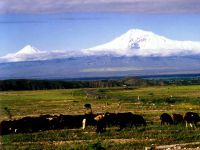 Gdje je planina Ararat 2