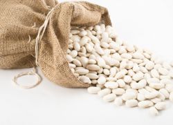 použití bílých fazolí
