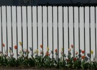 бела ограда 5