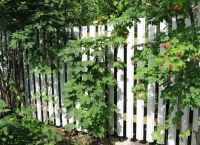 бяла ограда 9