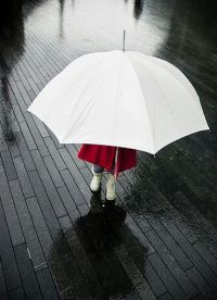 Biały parasol 4