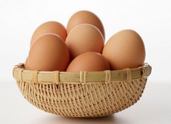 zakaj je škodljivo jesti veliko jajc