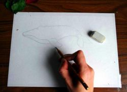 Proč je špatné, když dítě kreslí velryby?