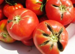 какво да направите, ако доматите са напукани