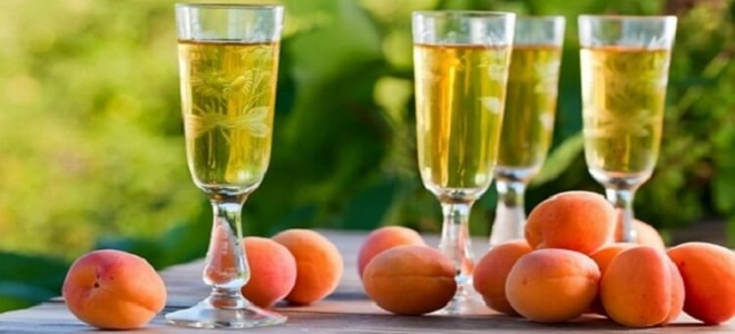 meruňkový víno jednoduchý recept