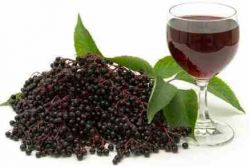 črno elderberry vino