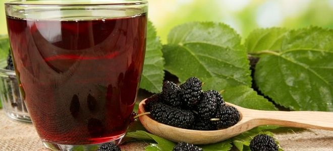 jak zrobić wino bez cukru mulberry