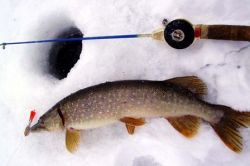 rybolov v zimě