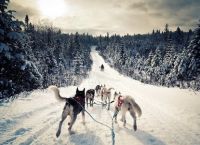 zimní dovolená v Karelia5