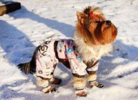 Zimske odijele za pse5