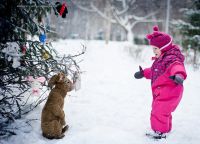Zimowa sesja fotograficzna z dzieckiem 7