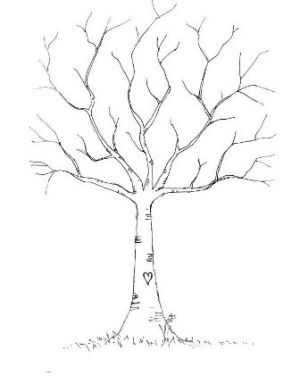 Želite drevo za poroko16