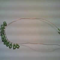 wisteria kuglica 12