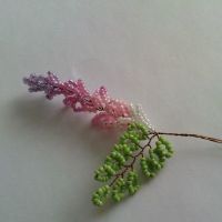 wisteria stablo kuglice 14