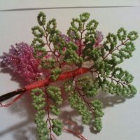 wisteria drzewo koralowe 18