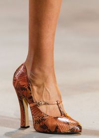 Cipele za žene 2013 1