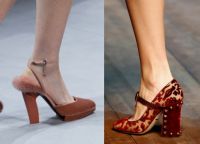 жените обувки падат 2014 г. 8
