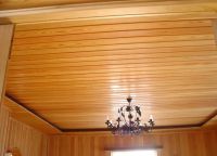 Dřevěný strop14