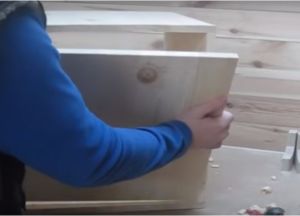 Faza iz lesa s svojimi rokami16