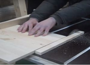 Faza iz lesa z lastnimi rokami6