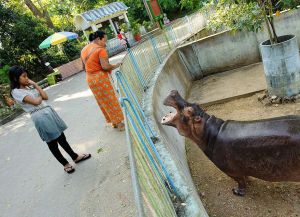 Янгонский Зоопарк