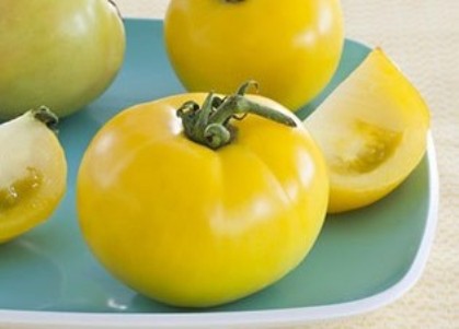 klasy 7 żółtych pomidorów