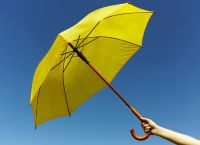 żółty parasol 3