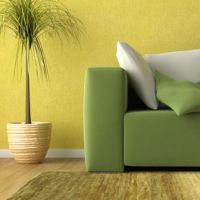 дизайнерска стая с жълт тапет - жълто-зелено 3