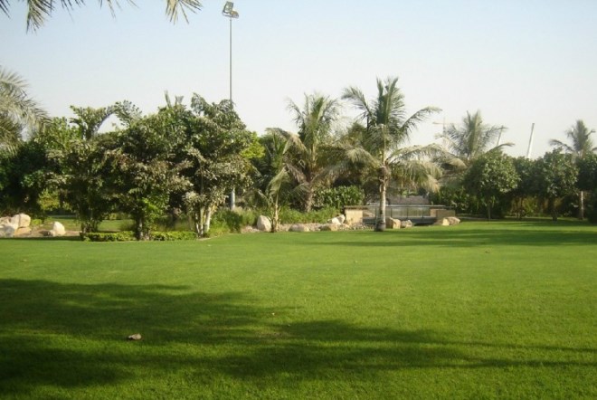 Поле для крикета в парке